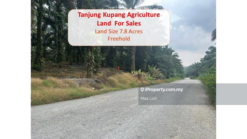 For Sale - Tanjung Kupang, Tanjung Pelepas, Agriculture Land