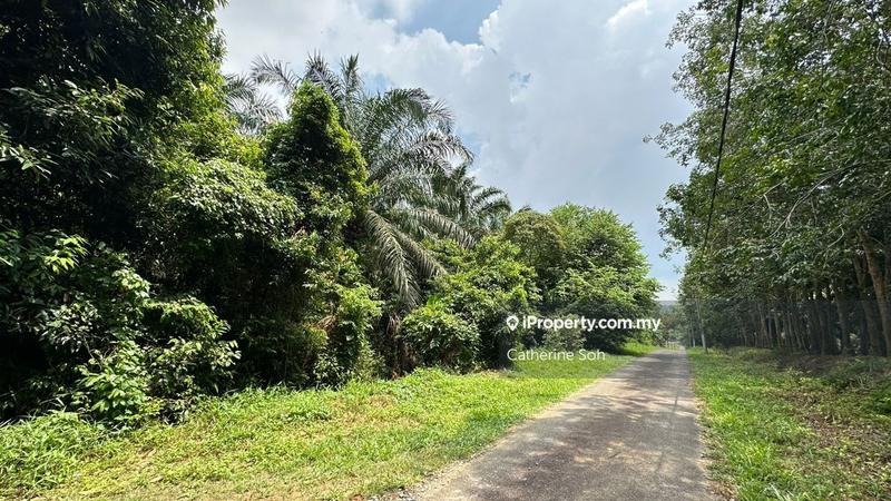 Agricultural Land for Sale in Near Air Panas Selandar Jasin Anjung Gapam, Bemban by Catherine Soh - iProperty.com.my