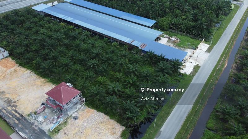 Agricultural Land for Sale in Kampung Jenjarom, Jenjarom by Aziz Ahmad - iProperty.com.my