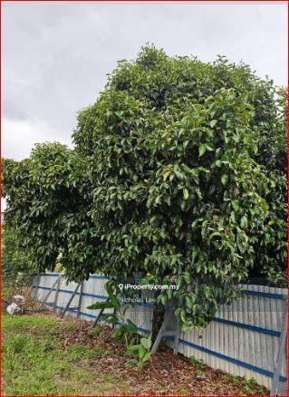 Agricultural Land for Sale in Kampung Sungai Makau, Hulu Langat by Nicholas Lee - iProperty.com.my