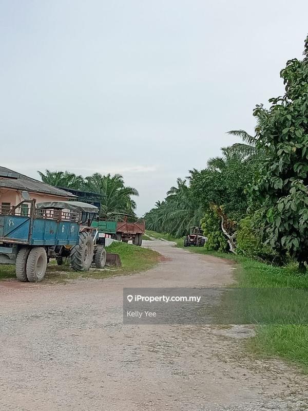 Tanah Pertanian untuk Dijual di Palm Oil Plantation @ Teluk Intan for Sale, Teluk Intan oleh Kelly Yee - iProperty.com.my