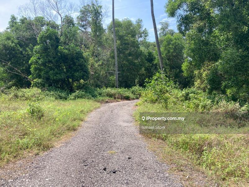 Agricultural Land for Sale in Kampung Sungai Ular, Sungai Karang by Ismael Stork - iProperty.com.my