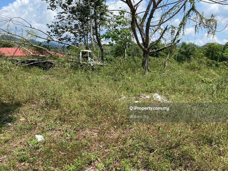Agricultural Land for Sale in Taman Jelebu, Kuala Klawang by William Ng - iProperty.com.my