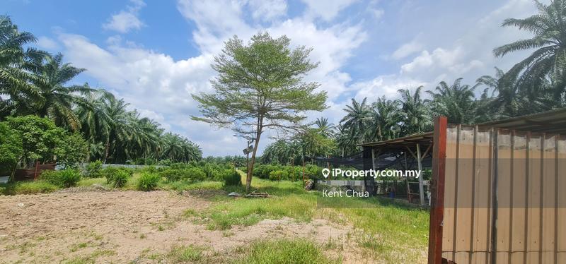 Tanah Perindustrian untuk Dijual di Kampung Baru Ijok, Ijok oleh Kent Chua - iProperty.com.my