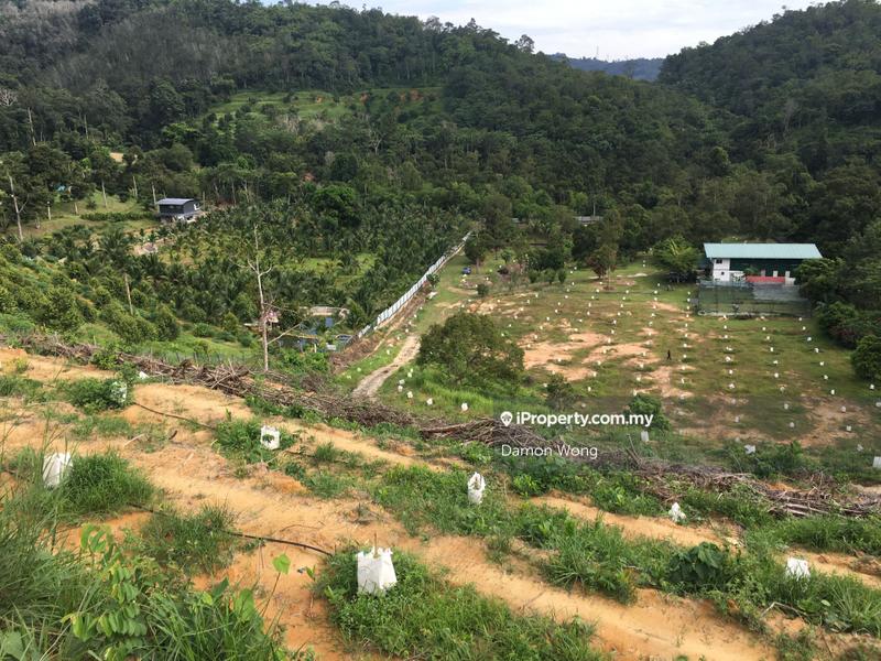 Agricultural Land for Sale in Bukit Tinggi, Bentong by Damon Wong - iProperty.com.my