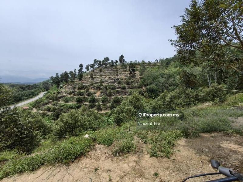Agricultural Land for Sale in Taman Titi, Titi by Vincent Tee - iProperty.com.my
