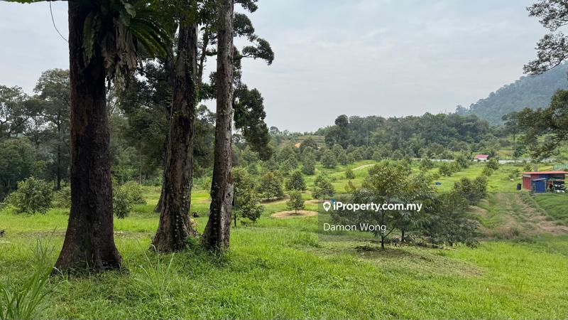 Agricultural Land for Sale in Karak, Karak by Damon Wong - iProperty.com.my