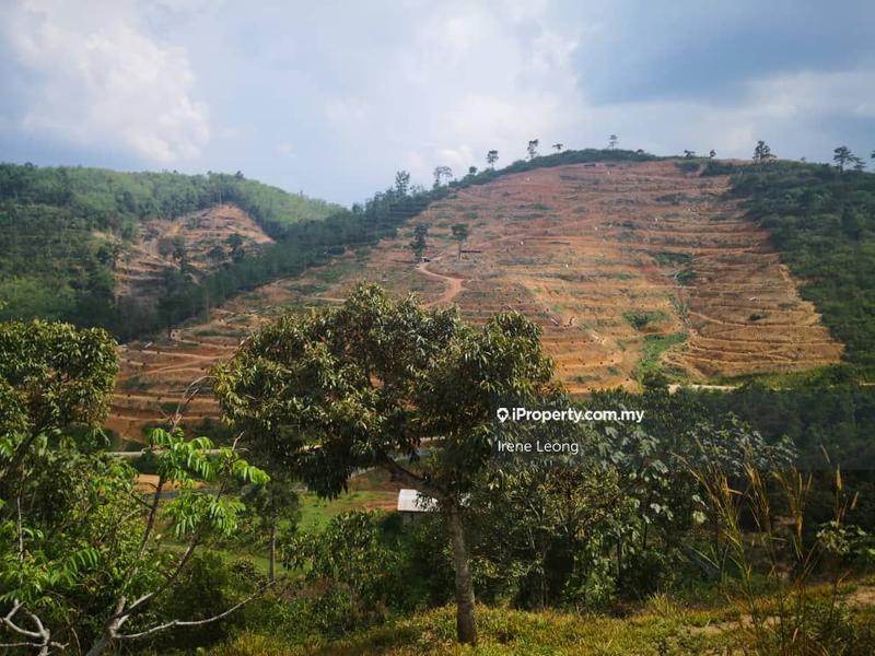 Agricultural Land for Sale in Karak, Pahang by Irene Leong - iProperty.com.my