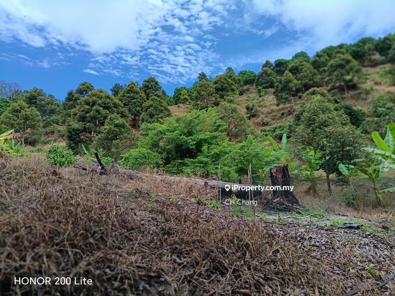 Tanah Pertanian untuk Dijual di Kampung Sungai Pinang, Balik Pulau oleh CH Chang - iProperty.com.my