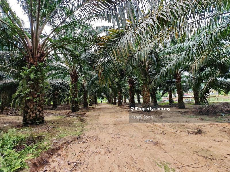 Tanah Pertanian untuk Dijual di Taman Rembau Utama, Rembau oleh Candy Soon - iProperty.com.my