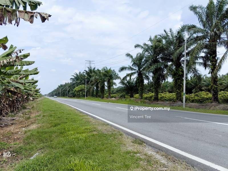 Agricultural Land for Sale in Kampung Tiram Buruk, Tanjong Karang by Vincent Tee - iProperty.com.my