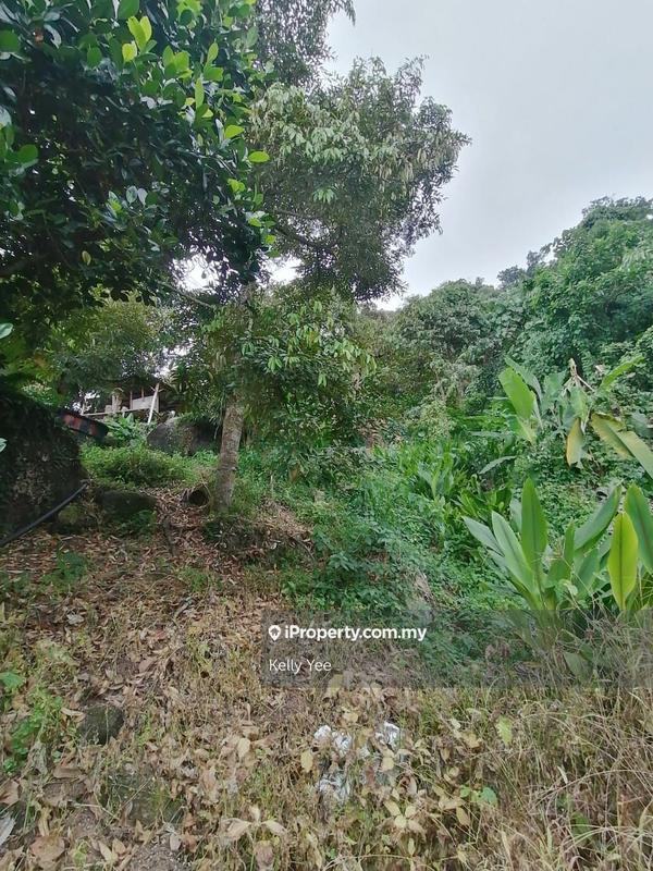 Agricultural Land for Sale in Bukit Mertajam Hill, Bukit Mertajam by Kelly Yee - iProperty.com.my