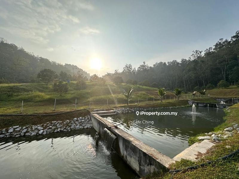 Agricultural Land for Sale in Serendah, Rawang by Mr Ching - iProperty.com.my