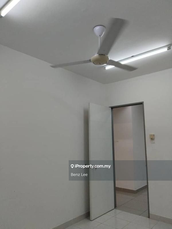 For Sale - Rafflesia