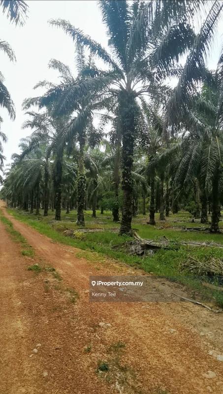 Agricultural Land for Sale in Taman Jempol, Bahau by Kenny Tee - iProperty.com.my