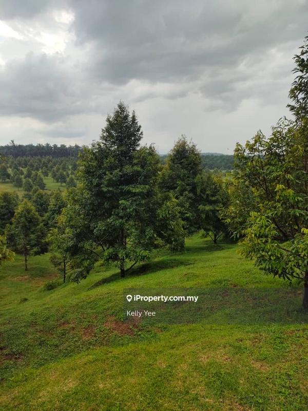 Tanah Pertanian untuk Dijual di Kampung Sungai Terap, Serdang oleh Kelly Yee - iProperty.com.my