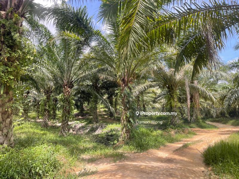 Agricultural Land for Sale in Karak, Bentong by Damon Wong - iProperty.com.my