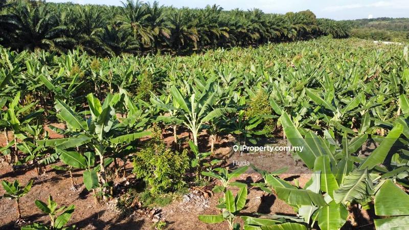 Agricultural Land for Sale in Port Dickson, Pasir Panjang by Huda - iProperty.com.my