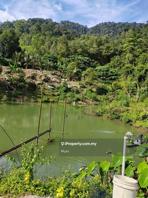 Agricultural Land for Sale in Jelapang, Ipoh by Muni - iProperty.com.my