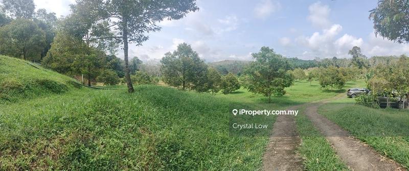 Tanah Pertanian untuk Dijual di Raub, Raub oleh Crystal Low - iProperty.com.my
