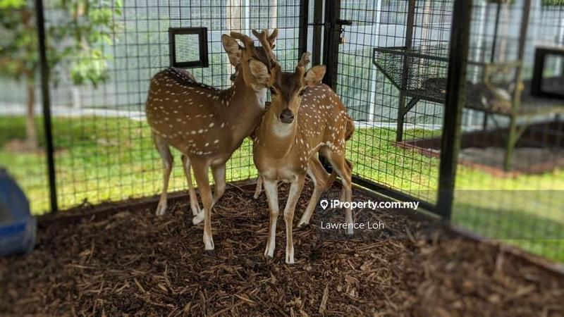 Condominium for Sale in Nidoz Residences @ Desa Petaling by Lawrence Loh - iProperty.com.my