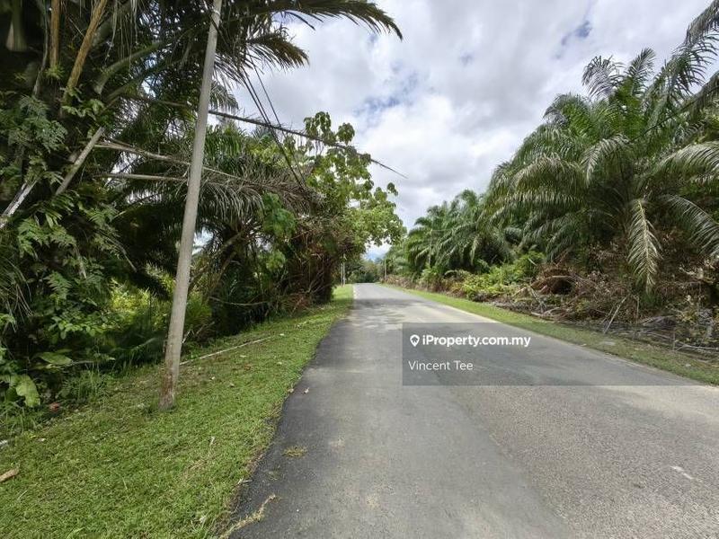 Agricultural Land for Sale in Bandar Lama, Jerantut by Vincent Tee - iProperty.com.my