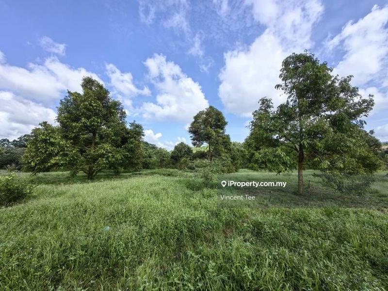 Agricultural Land for Sale in Bandar Lipis, Kuala Lipis by Vincent Tee - iProperty.com.my