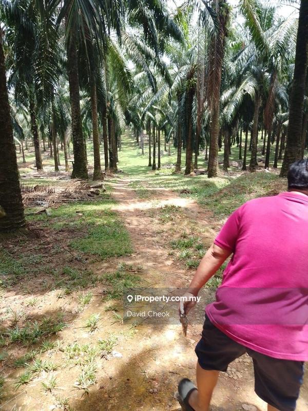 Agricultural Land for Sale in Taman Rembau Perdana, Rembau by David Cheok - iProperty.com.my
