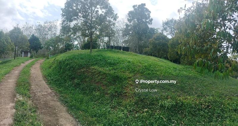 Tanah Pertanian untuk Dijual di Raub, Raub oleh Crystal Low - iProperty.com.my