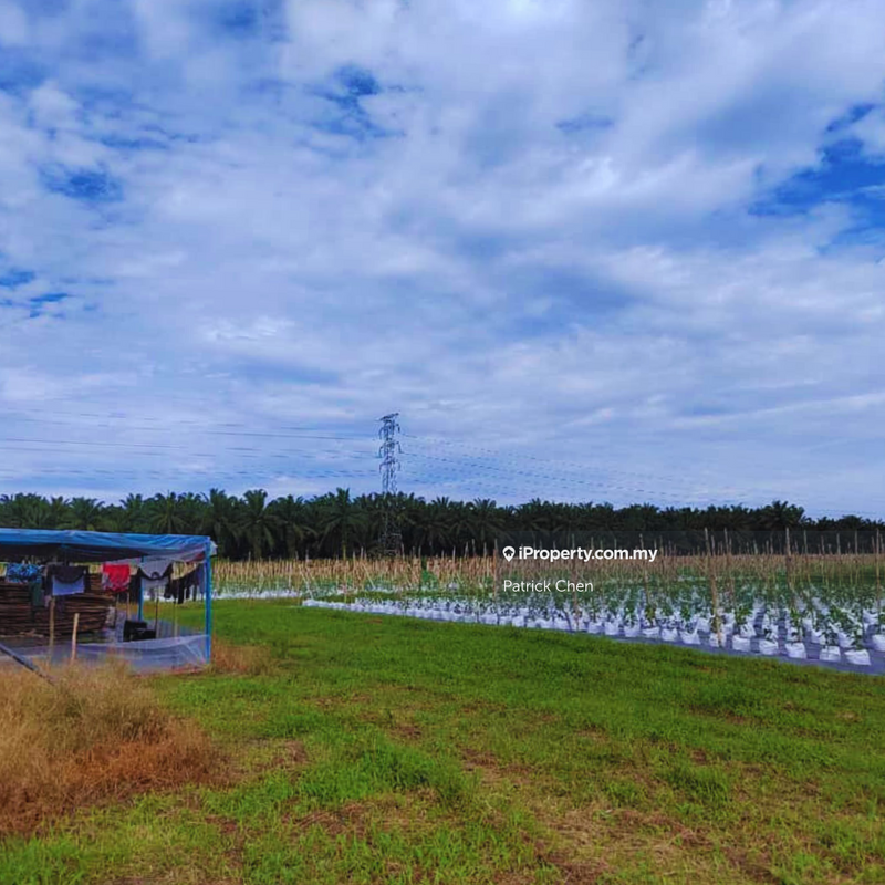 For Sale - Freehold Potential Development Land for Sales @ Taiping, Perak