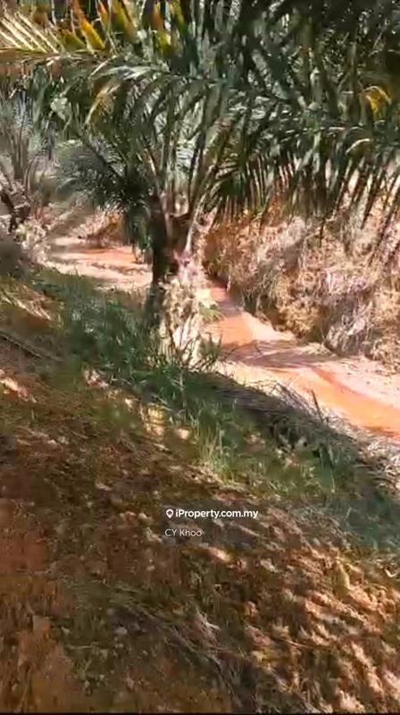 Tanah Pertanian untuk Dijual di Kelantan Gua Musang 18300 Ulu Nenggiri Bertam Blau, Ulu Nenggiri oleh CY Khoo - iProperty.com.my