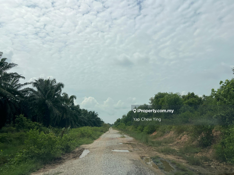 Industrial Land for Sale in 8.39Acre Zone Industrial @ Pekan Simpang Tiga, Ijok by Yap Chew Ying - iProperty.com.my