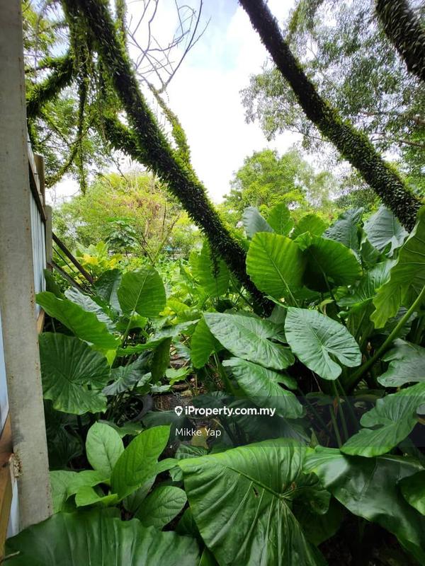 Industrial Land for Sale in Pusat Bandar Puchong, Puchong by Mikke Yap - iProperty.com.my