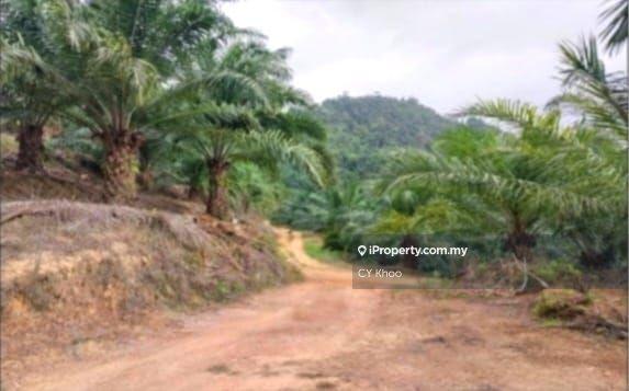 Tanah Pertanian untuk Dijual di Kelantan Gua Musang Ulu Nenggiri, Gua Musang oleh CY Khoo - iProperty.com.my