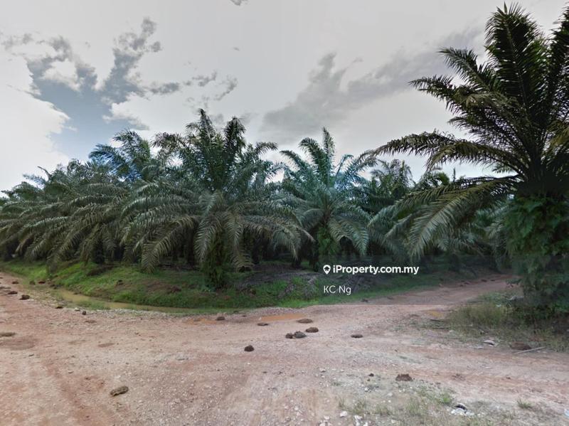 Agricultural Land for Sale in Sungai siput, Kuala Kangsar by KC Ng - iProperty.com.my