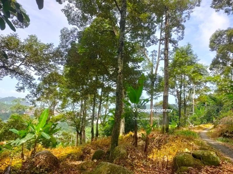 Tanah Pertanian untuk Dijual di Teluk Kumbar, Penang oleh Ooi Swee Khim - iProperty.com.my