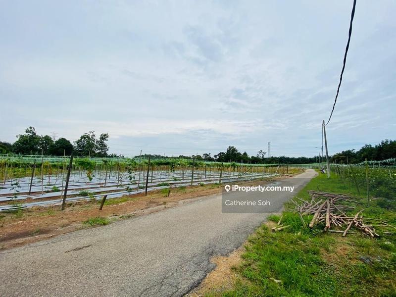 For Sale - Paya Rumput 14acres FREEHOLD Land