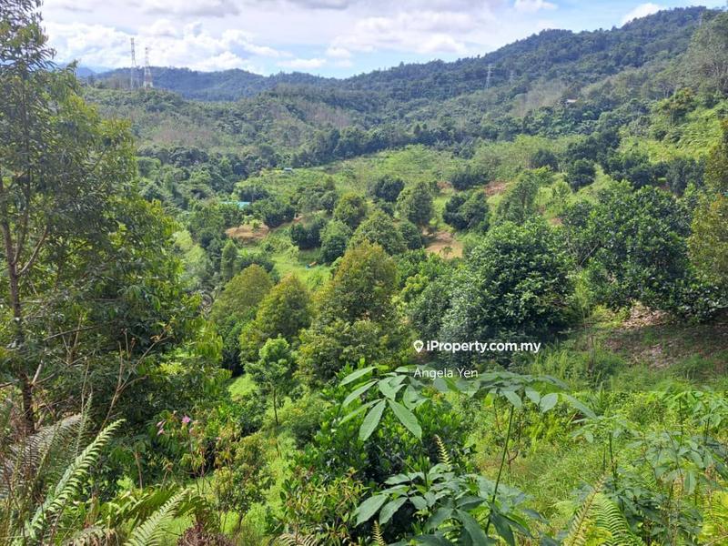 Agricultural Land for Sale in Papar, Sabah by Angela Yen - iProperty.com.my