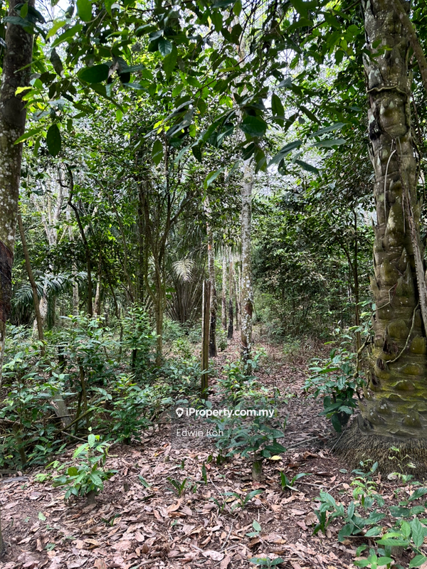Agricultural Land for Sale in Taman Bemban Utama, Bemban by Edwin Koh - iProperty.com.my