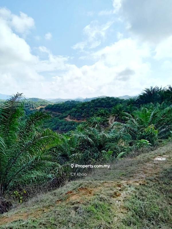 Tanah Pertanian untuk Dijual di Kelantan Gua Musang Ulu Nenggiri, Gua Musang oleh CY Khoo - iProperty.com.my