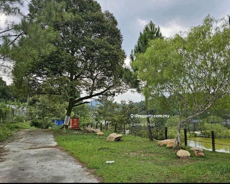 Agricultural Land for Sale in Hulu Langat, Selangor by Carene Chng - iProperty.com.my