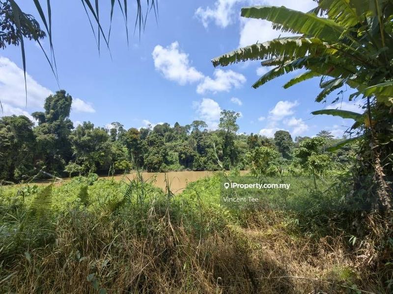 Agricultural Land for Sale in Bandar Baru Kuala Lipis, Kuala Lipis by Vincent Tee - iProperty.com.my
