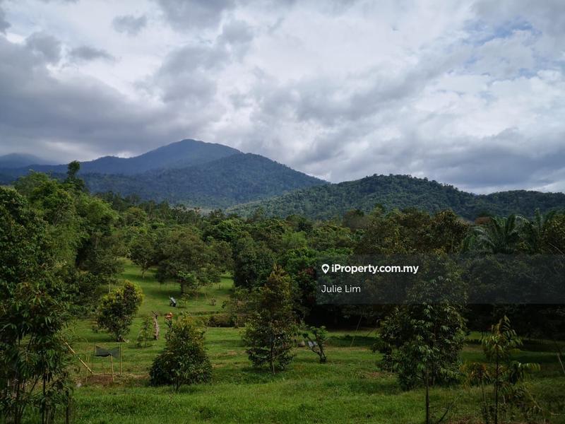 Tanah Pertanian untuk Dijual di Kampung Kuala Slim, Slim oleh Julie Lim - iProperty.com.my