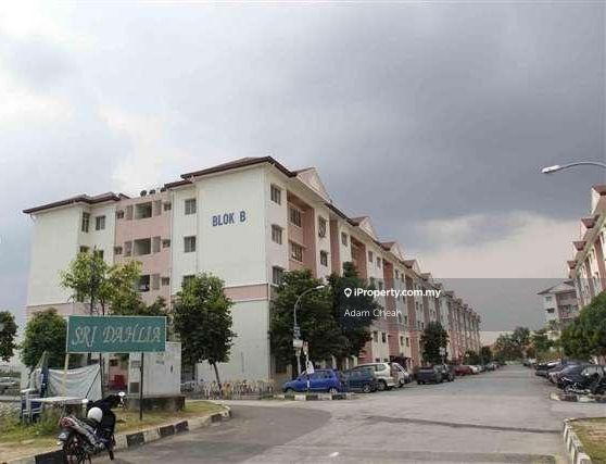 For Sale - Sri Dahlia