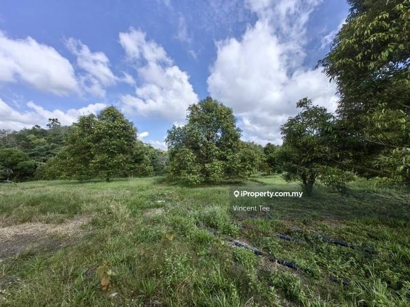 Agricultural Land for Sale in Bandar Lipis, Kuala Lipis by Vincent Tee - iProperty.com.my