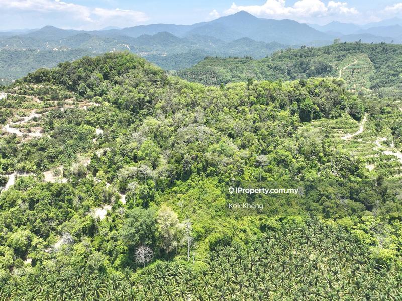 For Sale - Sungai Siput Perak 8.5 acres Rubber Tree Freehold Agricultural Land For Sale 🌳 出售霹雳和丰8.5英亩永久地契树胶园