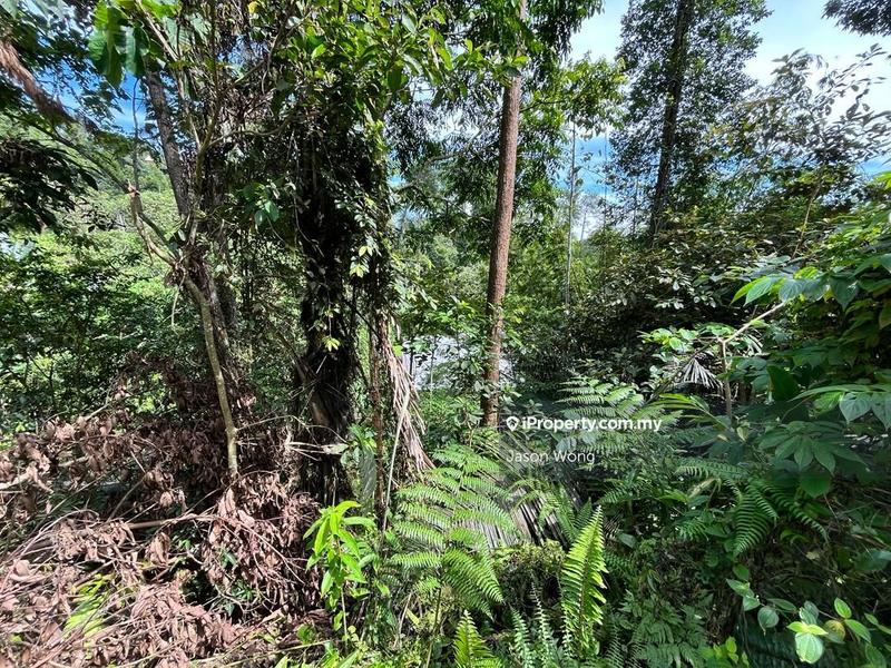 Bungalow Land for Sale in Bukit Tinggi, Bentong by Jason Wong - iProperty.com.my