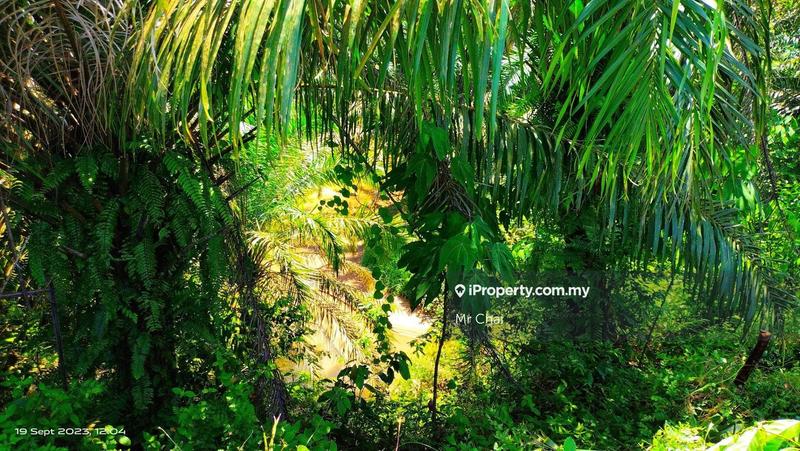 Tanah Pertanian untuk Dijual di Kuala Kubu Bharu, Kerling, (6 Acres), Kerling oleh Mr Chai - iProperty.com.my