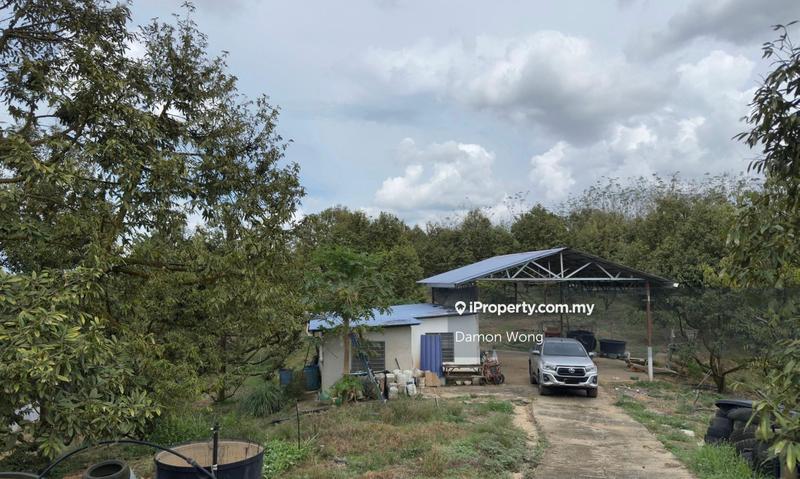 For Sale - 5.7 acres Durian farm