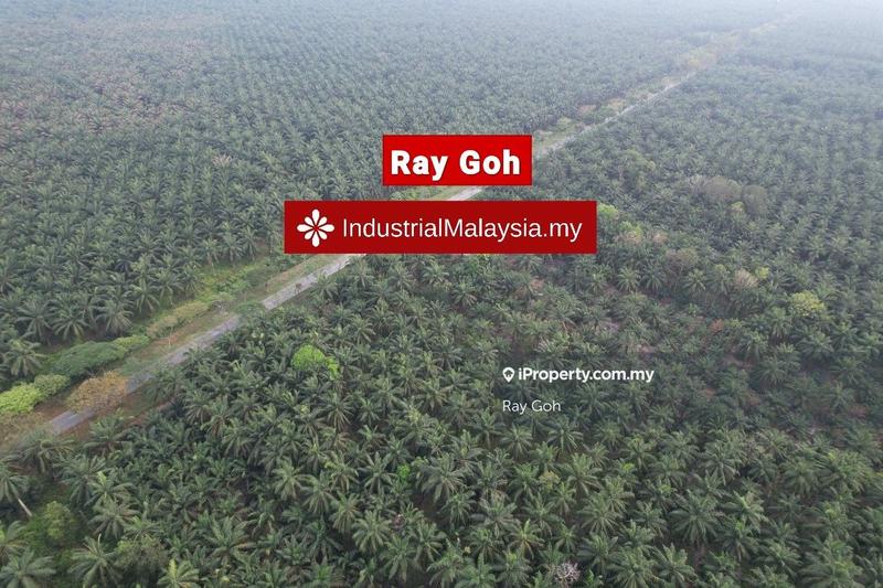 Agricultural Land for Sale in Kampung Kanchong Tengah, Banting by Ray Goh - iProperty.com.my